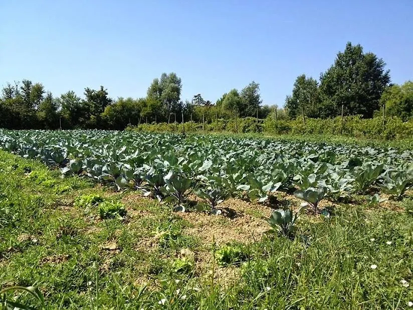 Ecogarden Camping With Rooms Chirignago-Zelarino