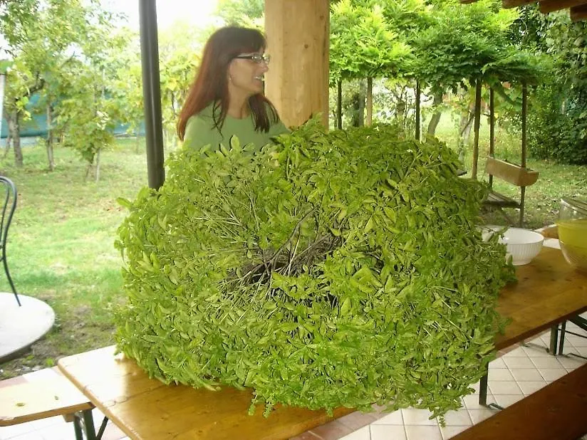 Ecogarden Camping With Rooms Chirignago-Zelarino